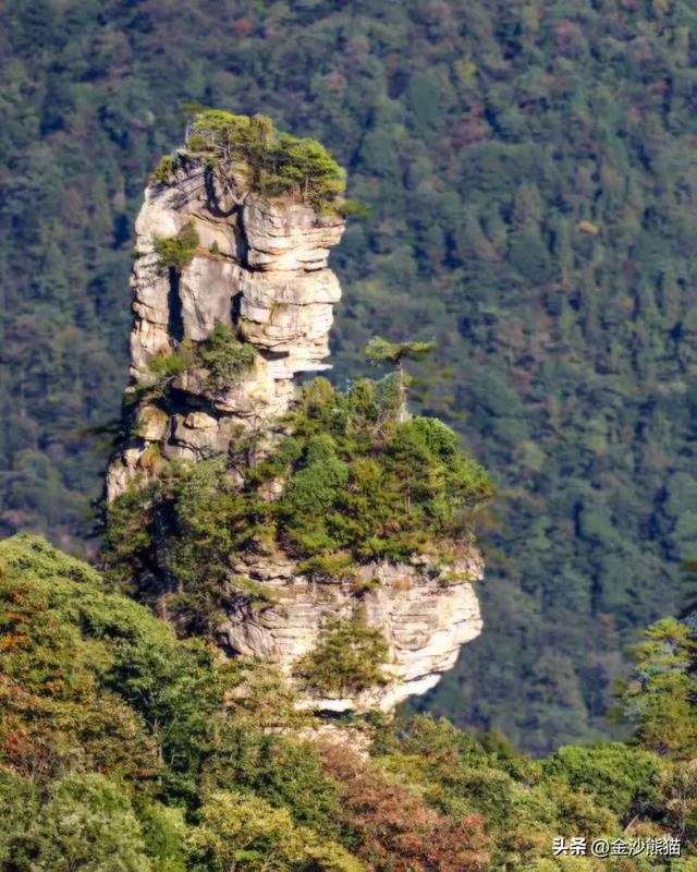 镜头中的山水：寻梦张家界 醉心山水间