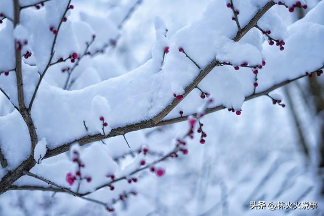 今日进一九，老话说“一九多晴天，坟头遍地起”，晴天有啥预兆？