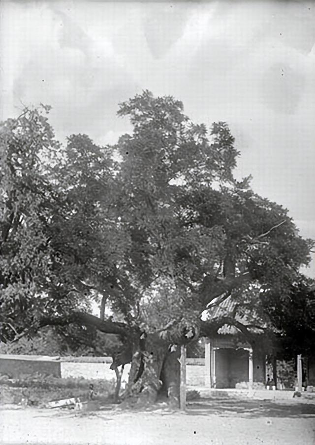 120 年前的泰山老照片，原来百年前的登山路是这样的！