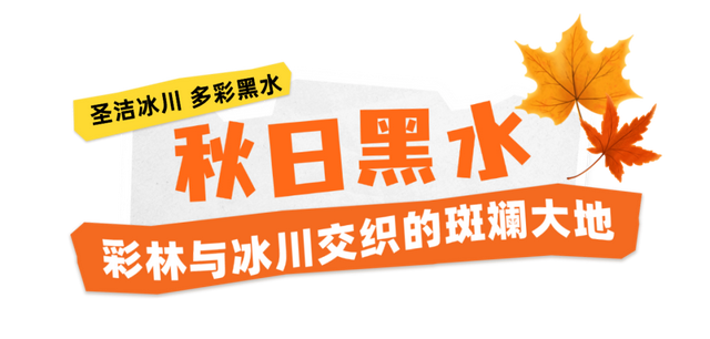 千里相约，山水相逢！黑水文旅亮相上海！这场推介太圈粉了→
