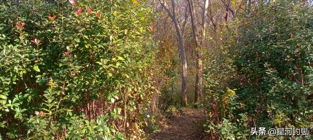 从射乌山到柏家庄