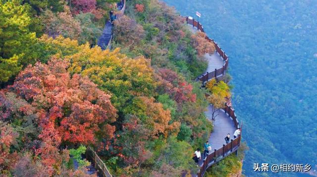 新乡古村镇:时光酿千年,归途是故乡