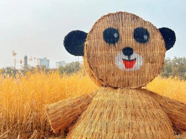 大地艺术与彩叶共绘生态画卷！藏在园博园湿地里的秋日浪漫→