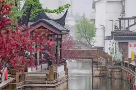 落雨的苏州古城，氤氲着江南韵味图片