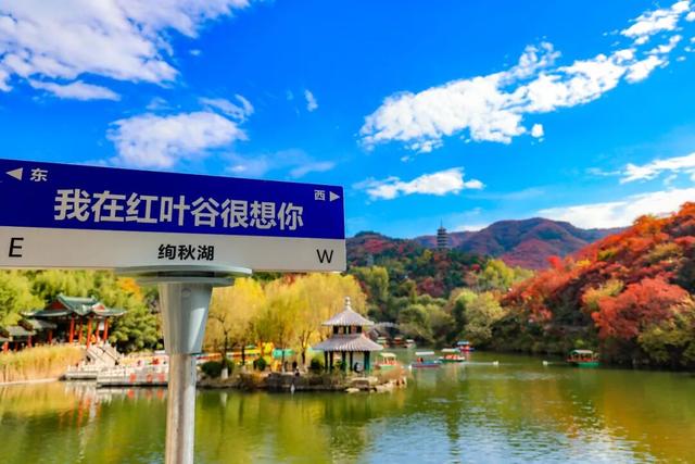是谁打翻了济南的调色盘？这里有一场盛大的秋日盛宴即将来袭！