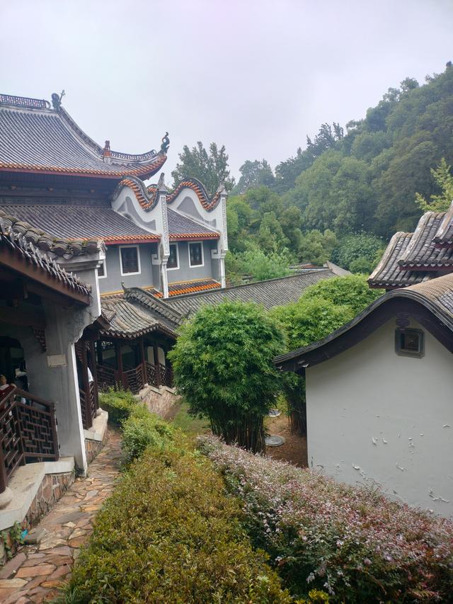 湘粤赣之旅（九）：长沙橘子洲·爱晚亭记