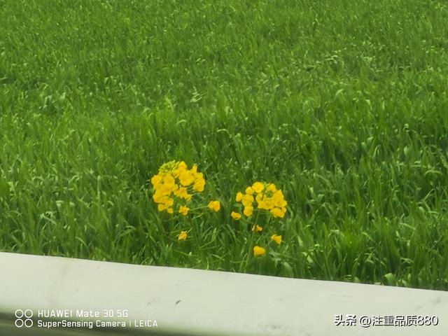 据我实际体验，冬天不宜自驾游