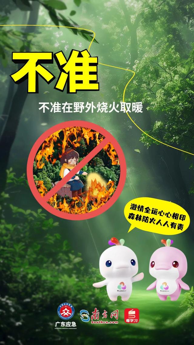 森林特别防护期，严禁这些行为→