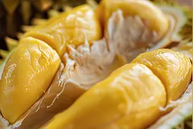 马来西亚鲜食榴莲获准入华！榴莲会降价吗？图片