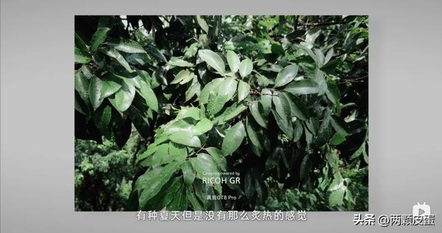 真我GT8 Pro:理光GR真传得几分?