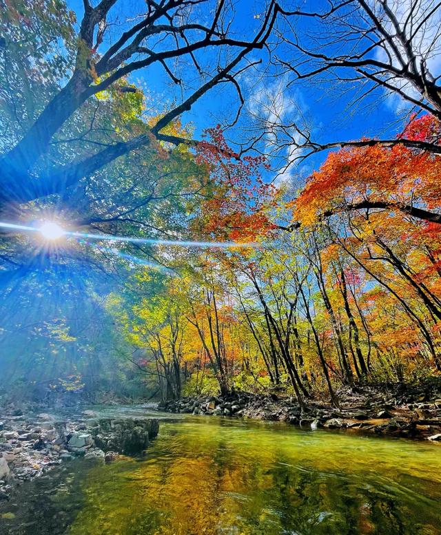 本溪县旅游品牌申创实现新突破