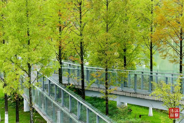 初冬时节，层林尽染，心随景动