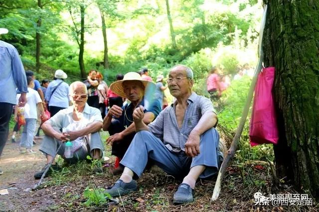 山不见我,我去见山:圆疙瘩山古会,等风也等你