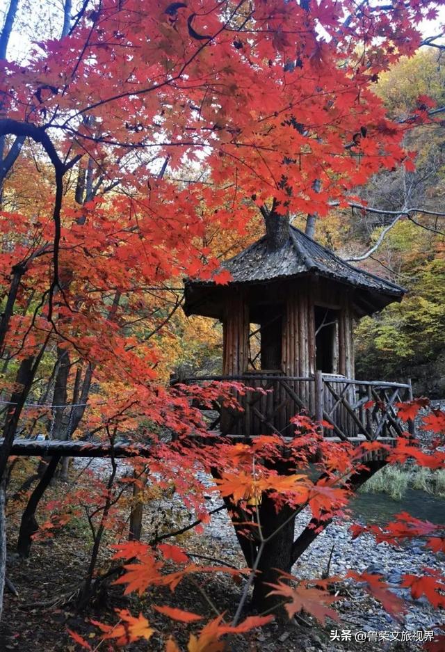 本溪：北国红枫深处的诗意秘境
