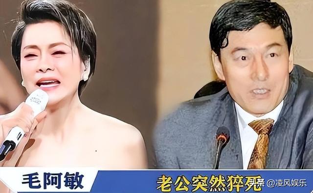 62岁毛阿敏与63岁董文华现况对比！一个豪门守寡，一个风采依旧