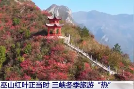 南方多地迎来赏叶最佳季，绚丽色彩让游客流连忘返图片