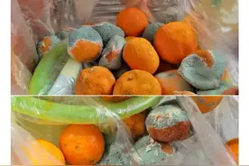 发霉的橘子竟然还能卖钱图片