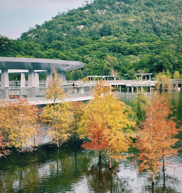 厦门山海健康步道景观节点东山环廊，隐藏在厦门闹市中的世外桃源