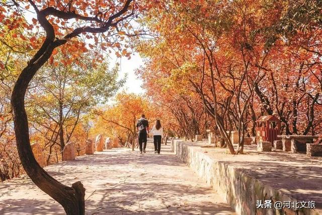 邯郸，你别太好逛了！