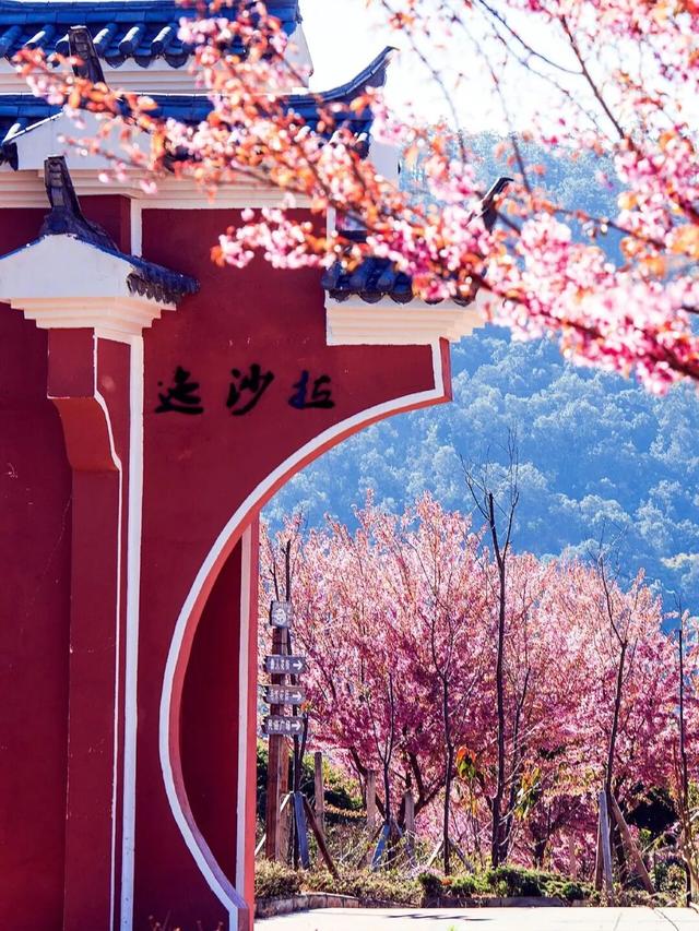 冬天到攀枝花晒太阳是定律来的！