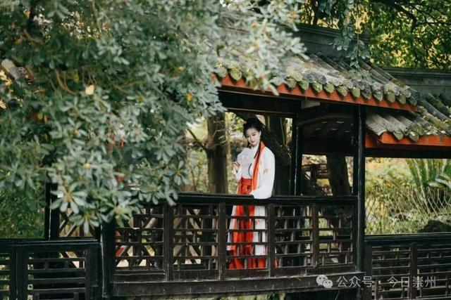 罨画池正在下一盘“大棋”