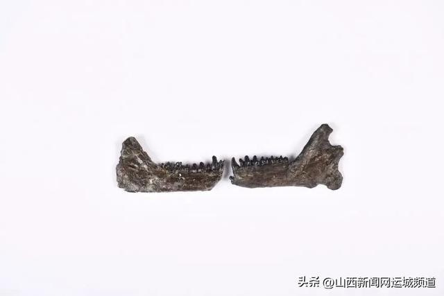 你可能不认识我,但你我一定有关!