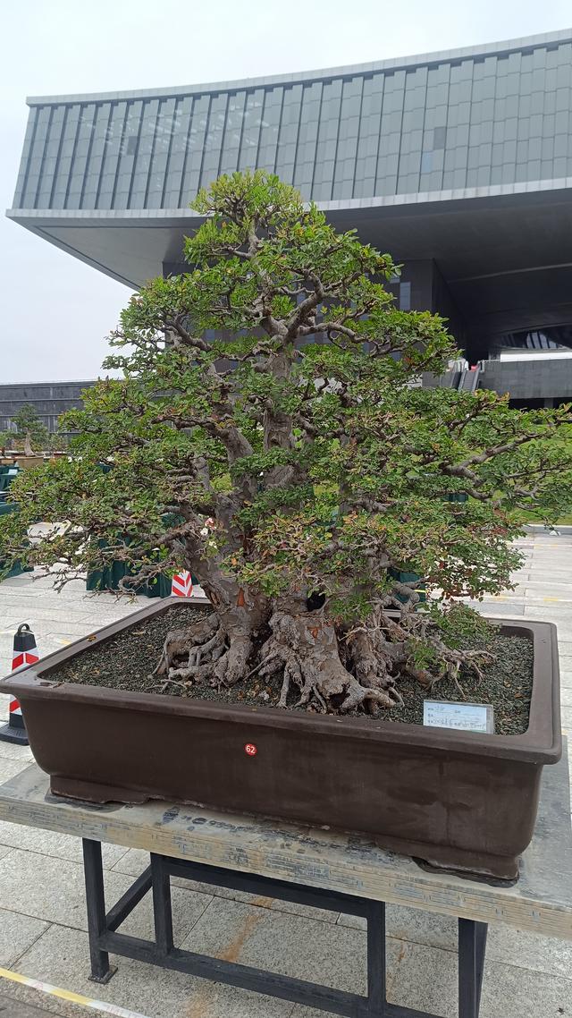 洛阳伊滨花境园缤纷世界等你来