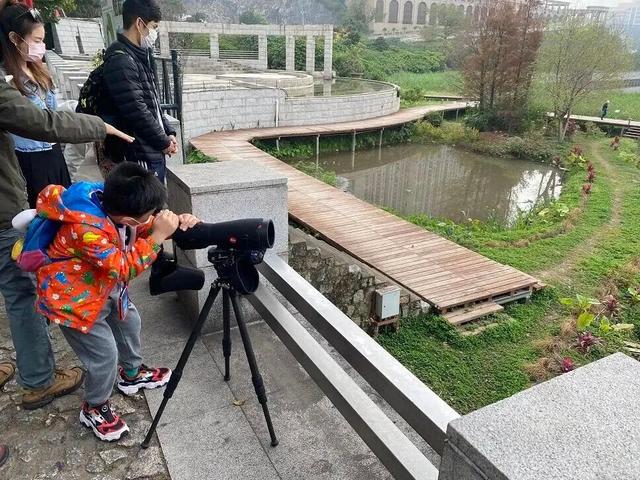 金秋十月│节庆、音乐、烟花 澳门应有尽有