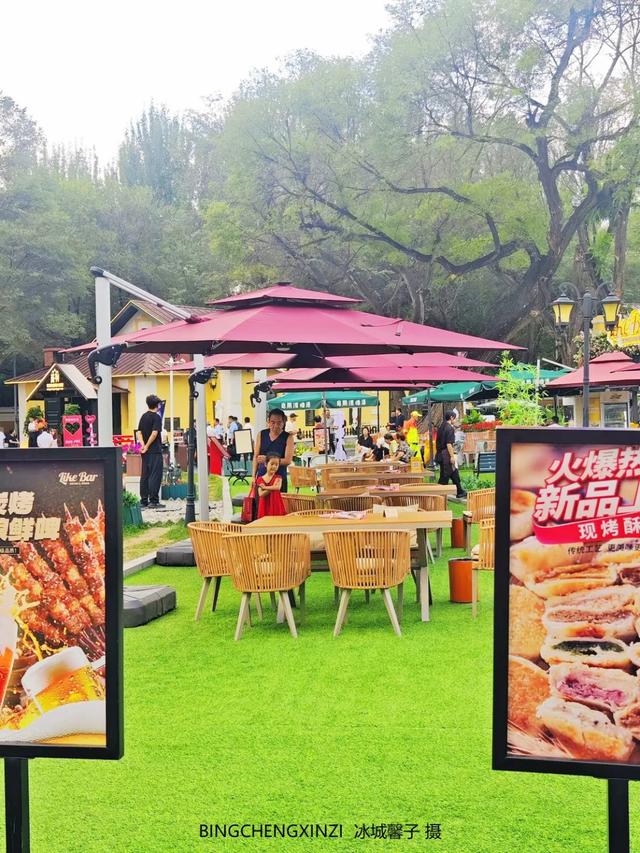 徜徉花园街区：与哈尔滨的温柔时光重逢