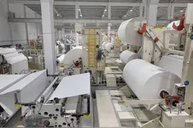 造纸业的循环经济学 | 可持续商业案例图片