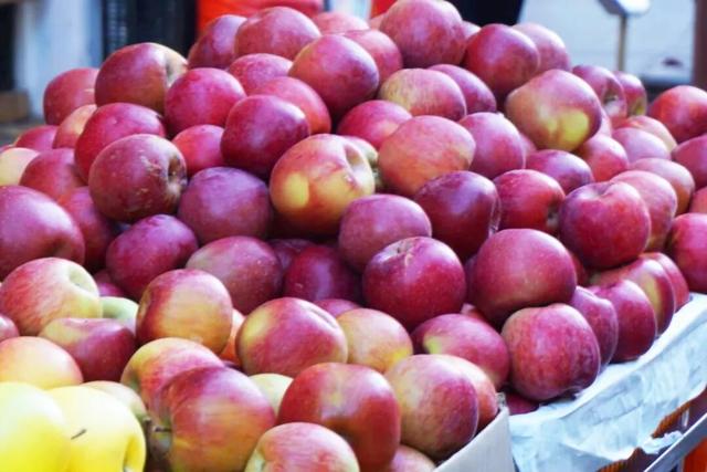 接下来，小金是这样的~