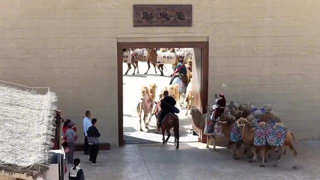 穿越古老的阳关古道，“东天山来的骆驼队”如今走到哪儿了？