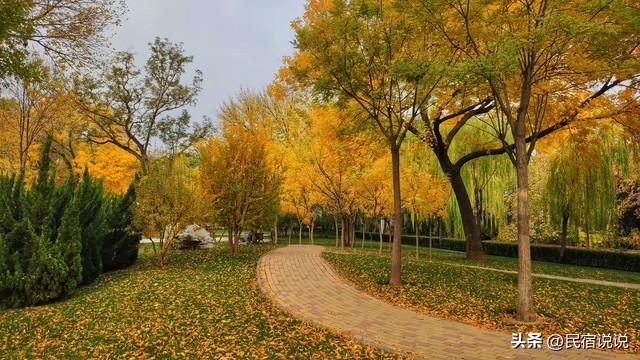 “狗都不理”的天津，看到这些知道我又错了！