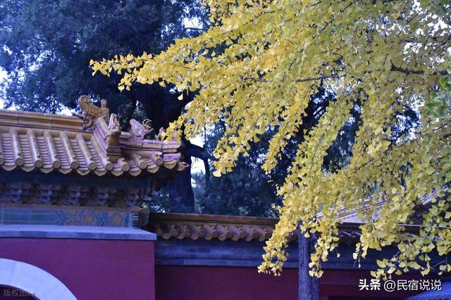 北京中轴线上藏着的秋冬美景，多少人见过？