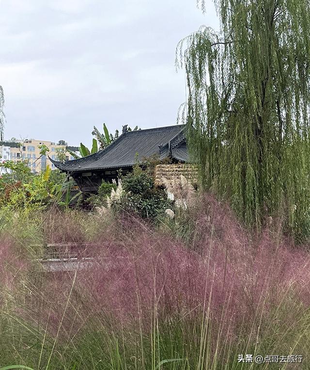成都双流被低估景区，枫叶惊艳恍若到了川西，不要门票，公交直达