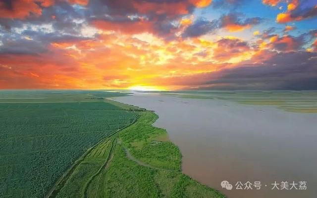 大荔黄河湿地