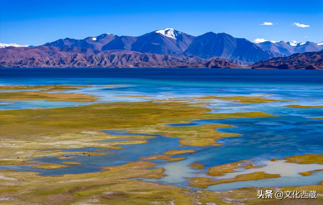 惊呆！西藏这个地方，一到秋天就美炸了！