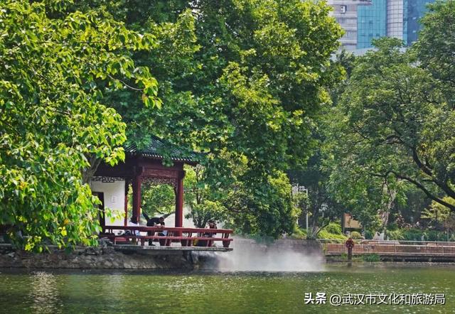 直降5℃！中山公园开“中央空调”了