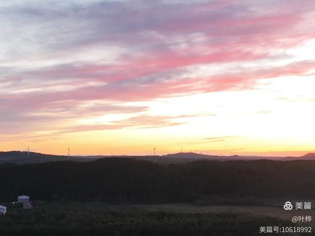 塞罕坝，我醉了