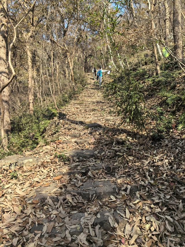 南京第二次到镇江武岐山空青山郊野徒步