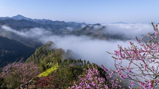 1月-3月赏花，春天适合去的10个赏花胜地，即将迎来盛花期