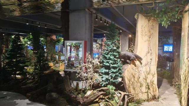 在朋友圈晒雪景？这次，晒点不一样的