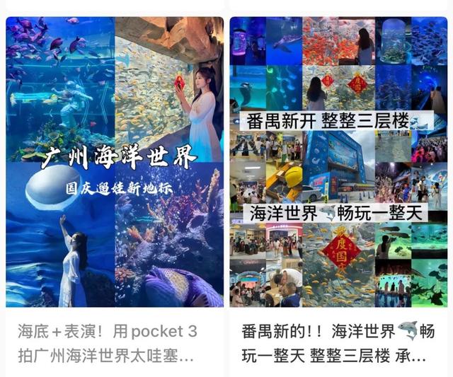 18000平方米！番禺“上新”一家海洋世界！