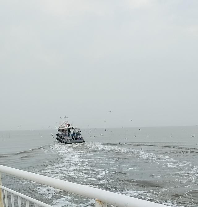 躲不过的心事，操碎了的心