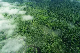 假如陈行甲当年没有辞职，现在他会什么样子图片