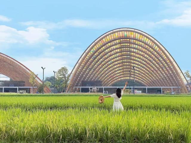 2025成都初秋图鉴|高粱红、稻田黄、草海粉…限定美景打卡!