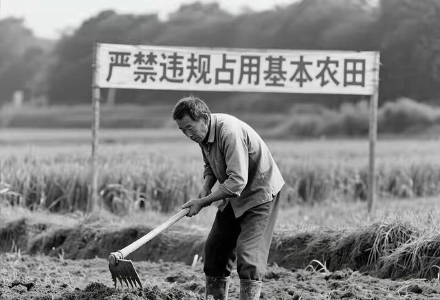 中央铁令！10月1日起农田禁令落地，农民必看！