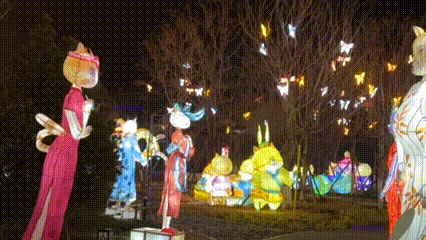 邯郸跨年卷疯了！各区县跨年仪式感直接拉满！