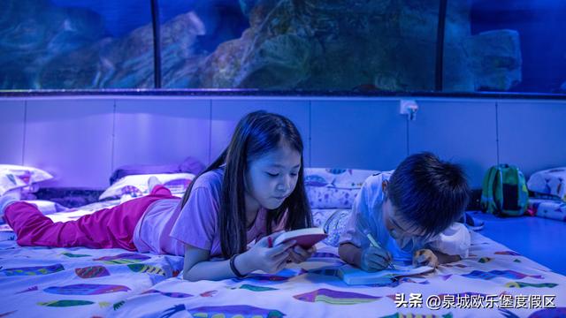 欧乐堡五大“夜经济”引擎，点亮“畅游齐鲁”清凉狂欢