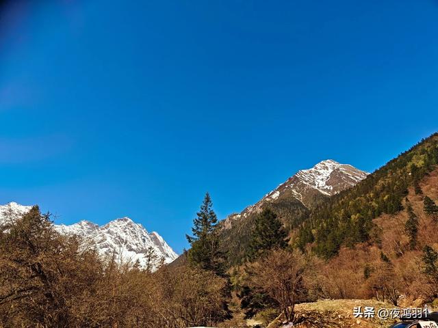 理小路环线今日风景！